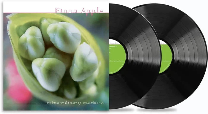 Fiona Apple - Extraordinary