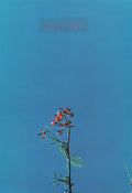 Joanna Newson - Joanna Newson & The Ys Street Band