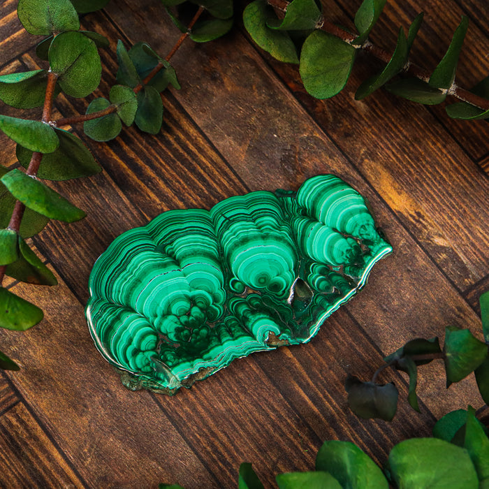 Malachite Polished Slice