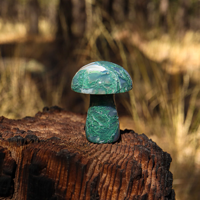 Moss Agate Carved Mushroom