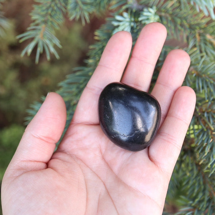 Shungite Tumbled Crystal Tumbled Crystal Magic